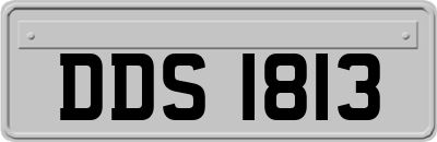 DDS1813