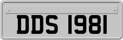 DDS1981