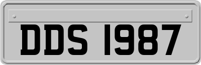 DDS1987