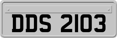 DDS2103