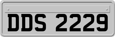 DDS2229