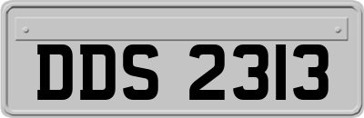 DDS2313
