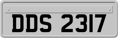 DDS2317
