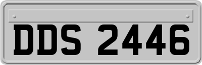 DDS2446