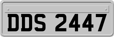 DDS2447
