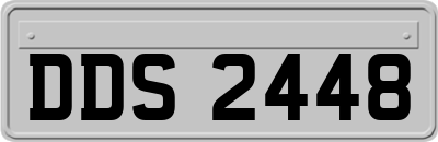 DDS2448