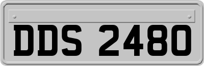 DDS2480