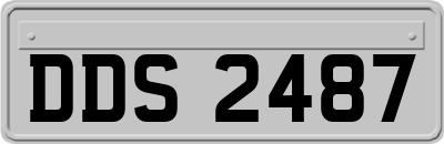 DDS2487