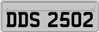 DDS2502