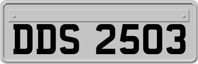 DDS2503