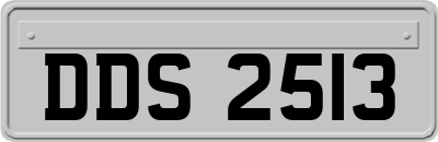 DDS2513