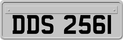 DDS2561