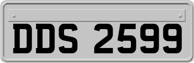 DDS2599