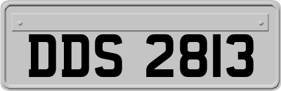 DDS2813