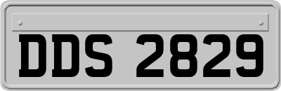 DDS2829