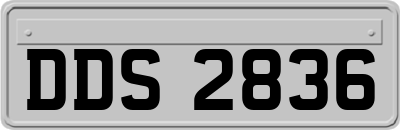 DDS2836