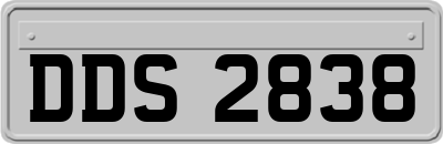 DDS2838