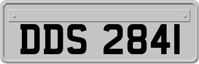DDS2841