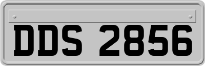 DDS2856