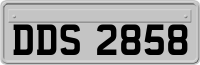 DDS2858