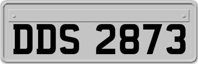 DDS2873