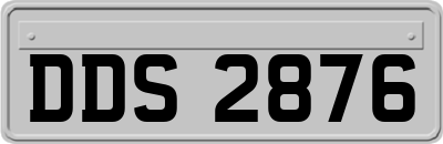 DDS2876