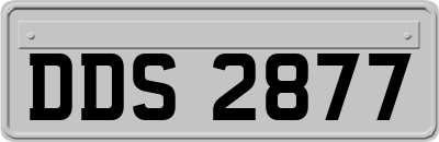 DDS2877