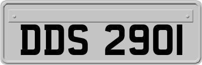 DDS2901