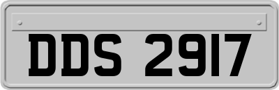 DDS2917