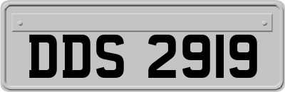 DDS2919
