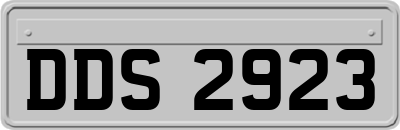 DDS2923