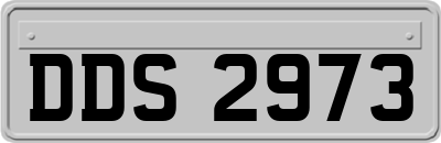 DDS2973