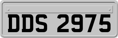 DDS2975