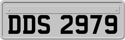 DDS2979
