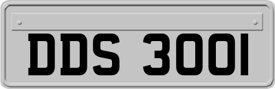 DDS3001