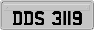 DDS3119