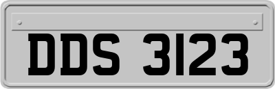 DDS3123