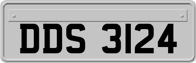 DDS3124