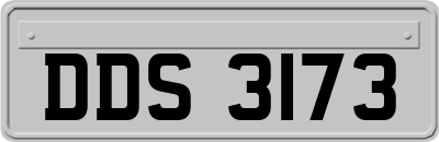 DDS3173