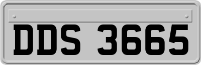 DDS3665