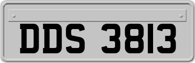 DDS3813