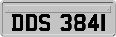 DDS3841