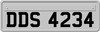 DDS4234