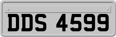 DDS4599