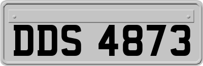 DDS4873