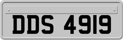 DDS4919