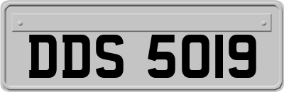 DDS5019