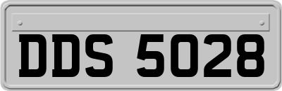 DDS5028