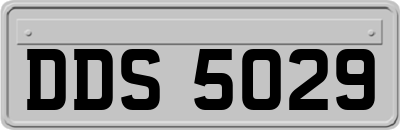 DDS5029