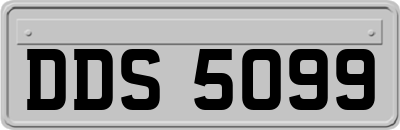 DDS5099